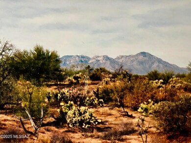 14943 W Parkin Ln, Three Points, AZ 85736 - photo 7