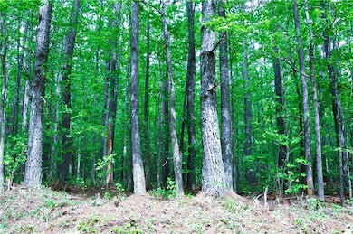 View of landscape with a forest view