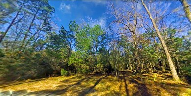 Lot 140-141 Petty Dr, Conroe, TX 77306 - photo 4