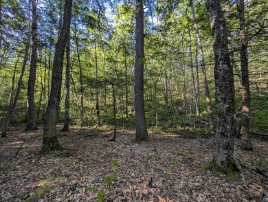 008-043-001 School House Rd, Francestown, NH 03043 - photo 6