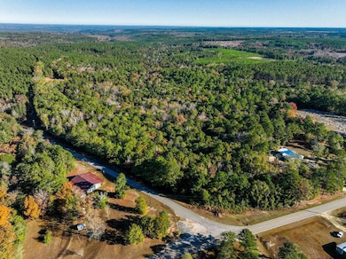 15.6+/- Acres Rose Hill Dozier MacEdonia Rd, Andalusia, AL 36421 - photo 5