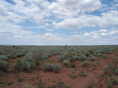 8538 Terry Trail 008