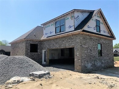 600 Apple Blossom Trail, Shelbyville, TN 37160 - photo 4