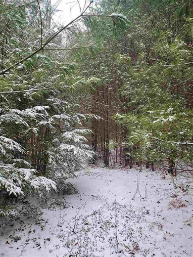 00 Hanson Rd, Brookfield, NH 03872 - photo 4