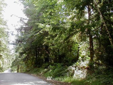 unlisted-address, Raymond, WA 98577 - photo 6