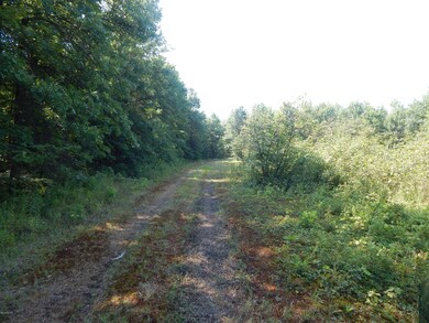 0 E Hayes Rd, Ashley, MI 48806 - photo 5