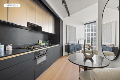 55 Fleet St unit 47C, Downtown Brooklyn, NY 11201 - photo 5