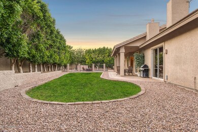 Expansive Yard
