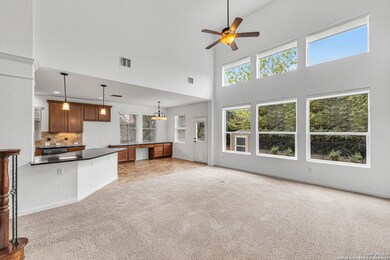 10610 Larch Grove Ct, Helotes, TX 78023 - photo 2