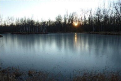 0 S Santiago Rd unit 14029177, Au Gres, MI 48703 - photo 4