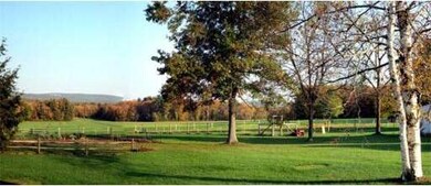 1204 S East St, Amherst, MA 01002 - photo 4