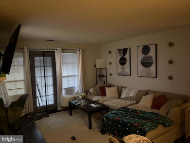 20979 Timber Ridge Terrace unit 204, Ashburn, VA 20147 - photo 3