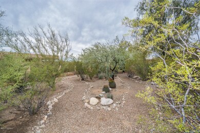 back yard-3