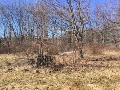 29 Spaulding St, Milford, NH 03055 - photo 6