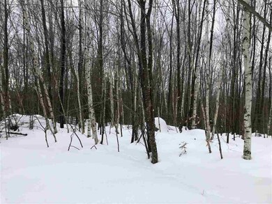 0 Timber Ln unit 4672942, Franconia, NH 03580 - photo 2