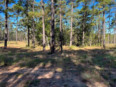 051 Private Road 6028, Brookeland, TX 75931 - photo 2