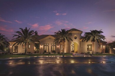 Palms a
