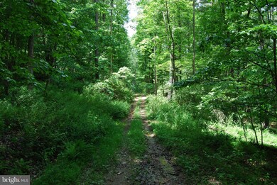 Lot 13 Pleasant Dale Ln, Great Cacapon, WV 25422 - photo 3