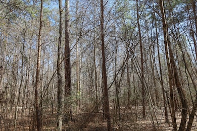 TBD Cross Rd, Grayson, LA 71435 - photo 5