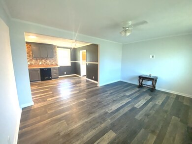 Open plan living and kitchen area filled with light.