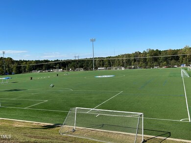 121 Cobalt Creek Way, Holly Springs, NC 27540 - photo 4