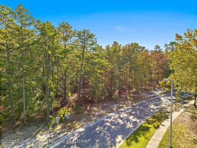 91 Bennington Way, West Creek, NJ 08092 - photo 3