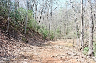 View leading back down the driveway