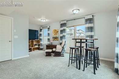 Lower level rec room walks out to the yard!