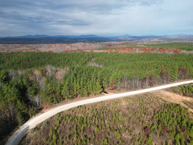 606 Spears Mountain Rd, Wingina, VA 24599 - photo 2