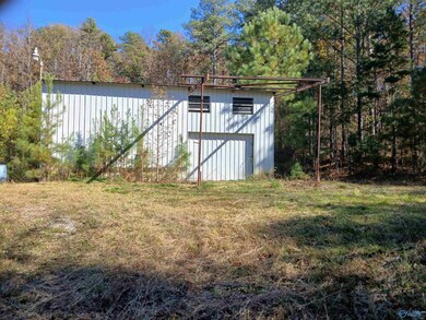 874 Mountain, Baileyton, AL 35019 - photo 5