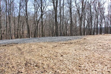 Lots 26 & 27 Cherokee Rd, Lucas, KY 42156 - photo 5