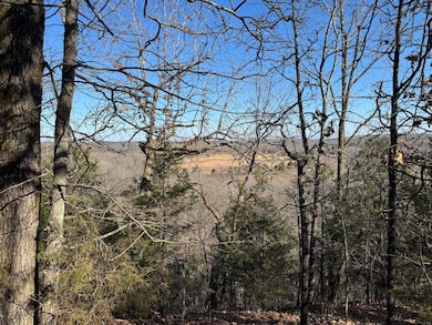 60A Tablerock Rd, Evening Shade, AR 72532 - photo 5