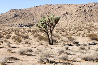 20999 Bella Vista Dr, El Mirage, CA 92301 - photo 6