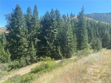 0 Wildcat Ridge Rd unit 1636795, Twisp, WA 98856 - photo 3