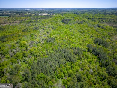 0 Ward Boyette Rd, Bristol, GA 31518 - photo 2