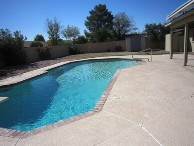 Large Swimming Pool