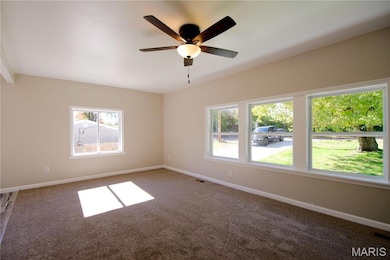 17 Placid Dr, Saint Charles, MO 63304 - photo 7