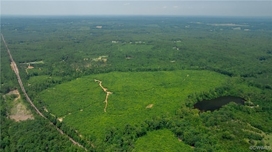 143 ACRES Old Peach Orchard Ln, Meherrin, VA 23954 - photo 5