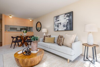 222 Laurel St unit U211, San Carlos, CA 94070 - photo 3