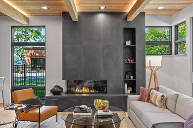 Linear Fireplace