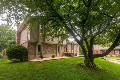 6902 Roseborough Ct, Louisville, KY 40228 - photo 3