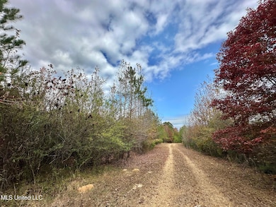 5 County Road 3122, McCool, MS 39108 - photo 4