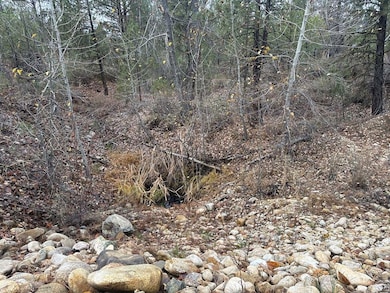 Community Access to Mores Creek & BLM