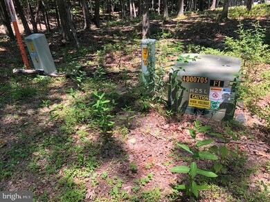 27 Walnut Bottom Hideaway, Moorefield, WV 26836 - photo 7