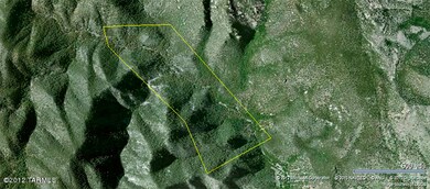 Satellite image copy