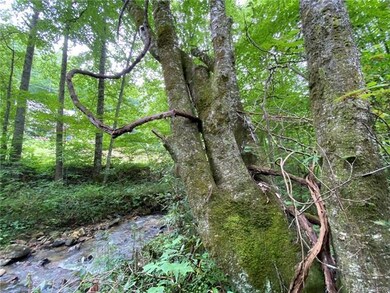 0000 Fox Creek Rd, Mars Hill, NC 28754 - photo 7