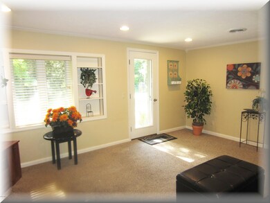 Living Room newer carpet