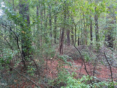 IMG-5085