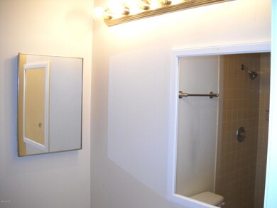 Master bath view