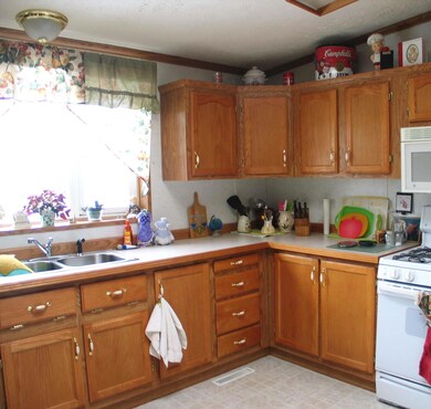 Kitchen View 2